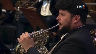 Brahms’s 1st Symphony Finale Horn Solo [upl. by Akimas]