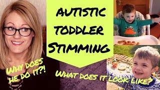 What Does Stimming Look Like in Toddlers with Autism And Why Do They Do It [upl. by Anabelle]