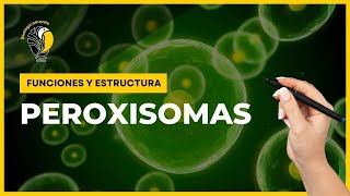 PEROXISOMAS  Funciones y estructura 😀 [upl. by Etteb327]