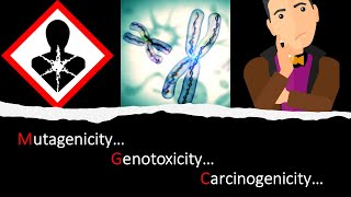 GT  13 Mutagenicity vs Genotoxicity vs Carcinogenicity General Toxicology Module 13 [upl. by Della]