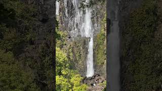 Bay of Plenty  Wairere Falls waterfall [upl. by Meehar891]