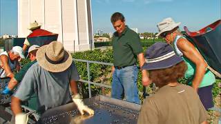 Great French Bordeaux Wines Discovering Château Lafitte and Château Haut Brion [upl. by Rizas]