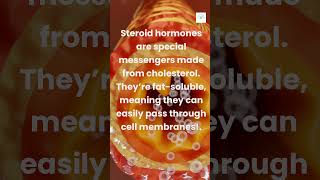 Ep 3 Did you know what steroid hormones are 🧬science hormones viralshorts facts trendingvideo [upl. by Yug830]