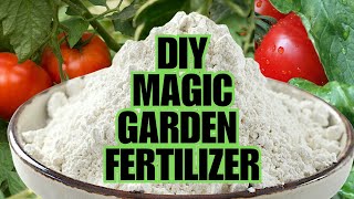 Magic Fertilizer For All Vegetables  100 Success Results [upl. by Sairahcaz]