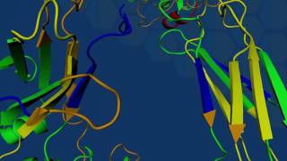 HDX technology for protein conformation studies [upl. by Gintz]