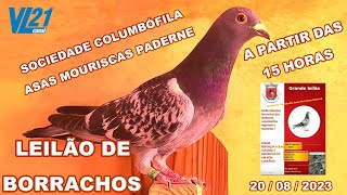 COLUMBOFILIA  LEILÃO ASAS MOURISCAS PADERNE AG 23  ENTREVISTAS  VL21 [upl. by Starbuck708]