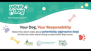 Lets Talk Talk  Potentially Aggressive Dogs [upl. by Abner]