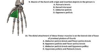 Tutorial questions with answers on intrinsic muscles of the hand [upl. by Ahseal]