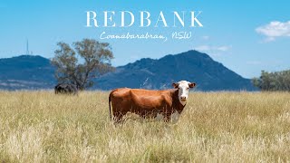 ‘Redbank’ Coonabarabran NSW [upl. by Dubenko]