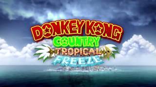 Level 31 Grassland Groove Section 4  Donkey Kong Country Tropical Freeze  Music [upl. by Nels]