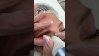 Fuller brow with powder brows process [upl. by Tildi]