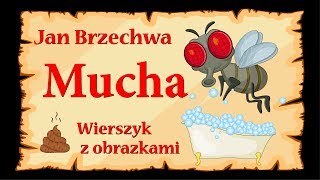 Mucha  Jan Brzechwa  animowany wierszyk z obrazkami [upl. by Atima]