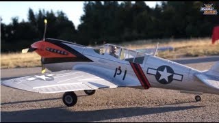 Hobbyking  P40 Large Scale Final  Fly [upl. by Annaehr]