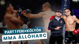 MMA Állóharc Technika Part 1 Peszlen Ferivel és Borics Ádámmal [upl. by Yelknirb]