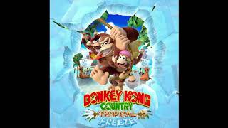 Donkey Kong Country Tropical Freeze Soundtrack  Grassland Groove Prelude [upl. by Naniac]