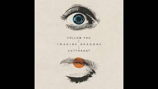 Imagine Dragons  Follow You Official Audio  FLAC 24bit  480kHz [upl. by Adnilav]