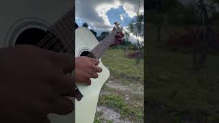 Arreando la mula  Requinto guitarra requinto [upl. by Younglove962]