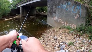 Float Fishing amp Bottom Fishing in a Small Creek  Bass Catch and More [upl. by Travax]