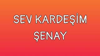 Sev Kardeşim Sözleri Yazılı Lyrics Şenay [upl. by Kearney]