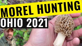 Morel Mushroom Hunting Success  April 2021  Summit County Ohio [upl. by Jamill937]