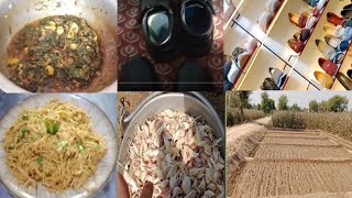 aaj ka Vlog  Pakistani housewife  amma ki hatti [upl. by Filipe748]