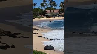 SouthShore Kauai getting its big waves again quotSheraton Poipu Beachquot [upl. by Ivan815]