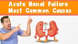 Acute Renal Failure Most common causes [upl. by Alyakcm]