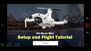 Getting Started with the DJI Mavic Mini  Setup and First Flight [upl. by Hocker100]