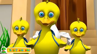 Cinco Patitos Canción Numérica y Más Preescolar Rima Para Niños [upl. by Marci668]