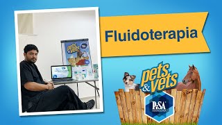 Fluidoterapia con el Dr Héctor del Riego [upl. by Adnelg]