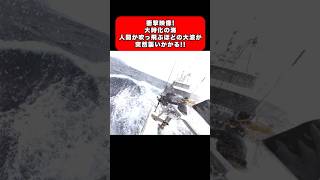 釣り 船釣り 衝撃 海釣り 釣り好きと繋がりたい fishing 対馬 大波 釣りよか 時化 悪天候 fishing youtube 豪チャンネル shorts [upl. by Marielle]