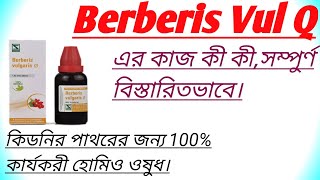 Homeopathic Medicine Berberis Vulgaris Mother Tincture Uses In Bengali। Kidney Stone। [upl. by Ronn]