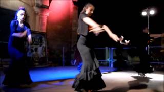 FÉRIA DE BÉZIERS 2016 © LA COCO SHOW amp ESTRELLA FLAMENCA [upl. by Elocim]