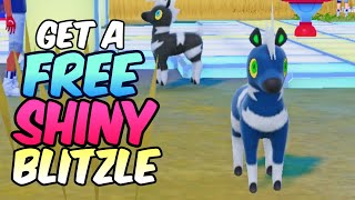 How to get free SHINY Blitzle Trade in Pokemon Scarlet Violet Indigo Disk DLC [upl. by Biddle52]