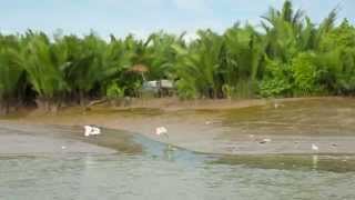 LES RIVES  Boat trip to Can Gio mangrove forest Vietnam  a UNESCO listed biosphere ecoadventure [upl. by Cornelia]