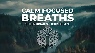 Calming Breaths  Guided Drone and Binaural Beats 8hz  1 Hour soundscape in C at 75 bpm [upl. by Farly773]