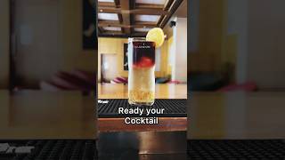 Special cocktail 😱 gin with red wine cocktail shorts redbull gin redwine bartender trending [upl. by Anabelle611]