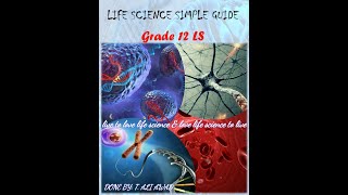 chromosomal abnormalities part 4 LS  solving a sample about structural chromosomal abnormalities [upl. by Dorwin]