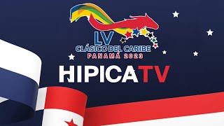 Resumen Serie Hípica del Caribe  Panamá 2023 [upl. by Anrehs461]