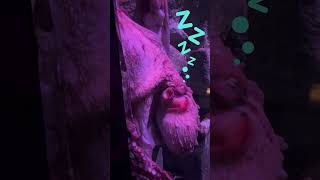 Cute Animal  Octopus Sleeping and Snoring cuteanimals funnyanimals [upl. by Aip]