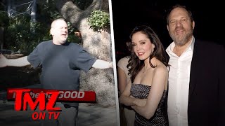 Harvey Weinstein Is Not Okay  TMZ TV [upl. by Dachia]