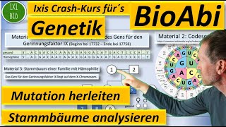 Genetik Anwendungsaufgabe AFB II Art der Mutation herleiten  Stammbaum analysieren  BioAbi 2023 [upl. by Idnahs]