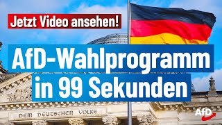 Das AfDProgramm zur Bundestagswahl 2021 [upl. by Tsuda]