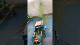 corn stalk cutting machine animal feed pellet mills farming machine [upl. by Anitsuj364]