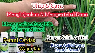 Tip Dan Cara Menghijaukan Dan Mempertebal Daun TanamanMenggunakan Fungisida Golongan Triazol [upl. by Nirb731]