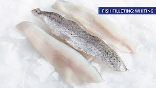 CYCSA Fish Filleting Demo Whiting [upl. by Volny]