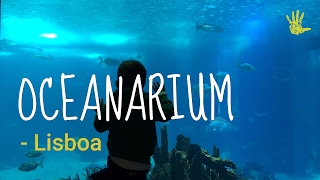 Oceanarium in Lisbon what to expect [upl. by Aliber]