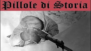 146  Simo Hayha il miglior cecchino della Seconda Guerra Mondiale Pillole di Storia [upl. by Nylessej]