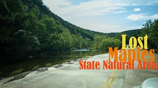 Lost Maples State Natural Area 2020 [upl. by Ottie]