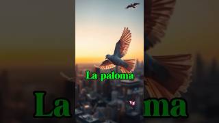 La Paloma paloma [upl. by Ydoc]